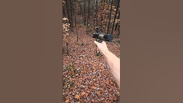 Arp with a switch #arp #supersafety