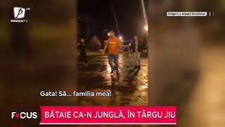 Bătaie Ca În Junglă, În Târgu Jiu