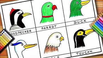 Different Types Of Beaks of Birds Drawing | Birds Beaks Drawing Step By Step | Birds Beaks Drawing