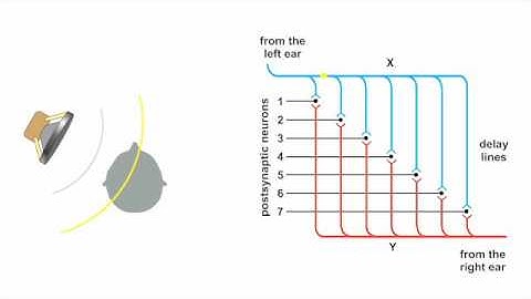 06 3 Coincidence Detection