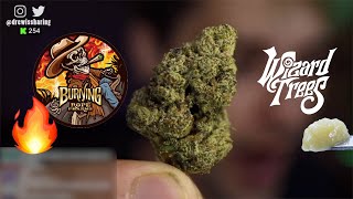 NEW Wizard Trees & Burning Rope Farms! 🔥 (FULL LIVESTREAM VOD)