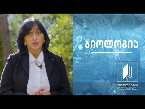 ბიოლოგია - იმუნურ სისტემასთან დაკავშირებული დაავადებები: აივ-ინფექცია/შიდსი #ტელესკოლა