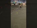 Skating @Abu Dhabi