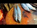 Small Vanjaram &amp; Trevally Fish Cutting / Expert Fish Cutter / World Fresh Fish Market / CT 360*🔪