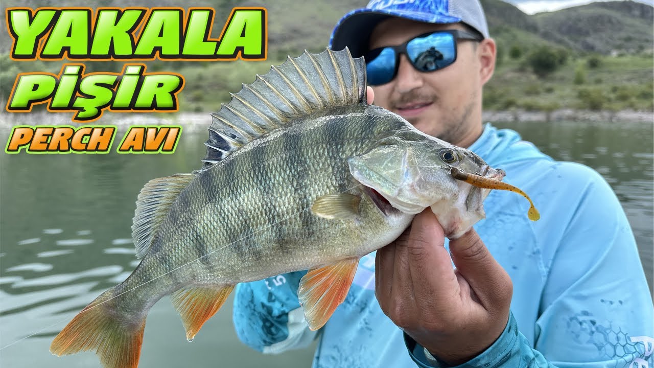 Barajın Ortasında Yağmura Fırtınaya Yakalandık.Babaları Bulduk İri Yaptı.Yakala Pişir Perch Avı…