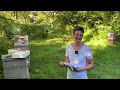 Live von Pias Bienenstand - 08.09.2023