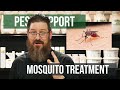 How Do I Treat For Mosquitoes? | Pest Support