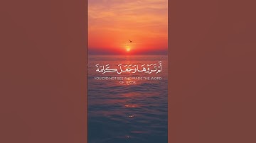 تلاوة عطرة من سورة التوبة للقارئ محمد اللحيدان #محمد_اللحيدان #quran #قرآن #تلاوة_خاشعة #أذكار