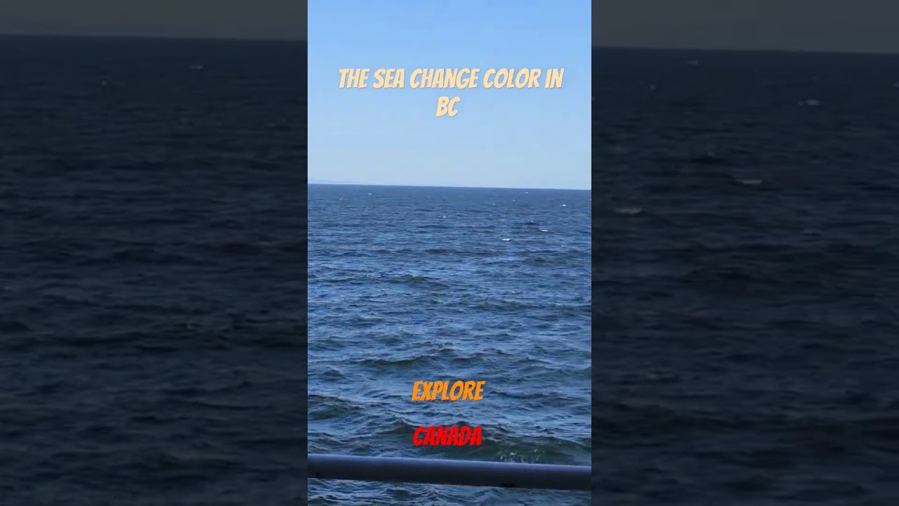 El Mar cambia de color en BC Canada/ The sea change color in BC Canada 