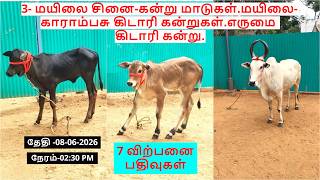 7-விற்பனை பதிவுகள்.3- மயிலை சினை-கன்று மாடுகள்.மயிலை-காராம்பசு கிடாரி கன்றுகள்.எருமை கிடாரி கன்று.