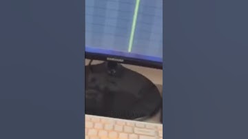 CODE80 & OG Buda - Money Counter (snippet 10.06.24)