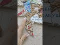 Чьи-то добрые руки сотворили это чудо 😍 находится на улице, каждый может прийти и посмотреть 💞