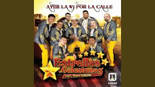 Video thumbnail of "Estrellas Calentanas - Días Amargos"