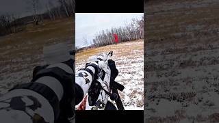 hunting whitetail deer with my new gun #hunting #caccia #moose #chasse #deer