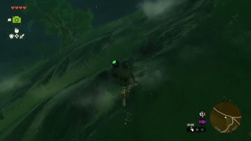 [DAY 45] of finding one korok seed in TotK everyday until a new Zelda game comes out