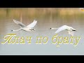 &quot;Плач по брату&quot;-песня с которой все началось...