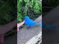 #trending #funny #babytoons #ytshorts #cute