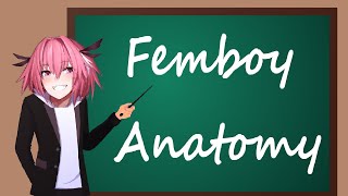Femboy Anatomy Lessons