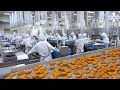 하루 30만개 생산! 압도적인 한국 최대규모 핫도그 공장의 대량생산 현장 / Korean food factory