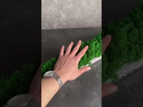 Моссаріум з мохом Преміум 90см*9см, флораріум з мохом, видео 1