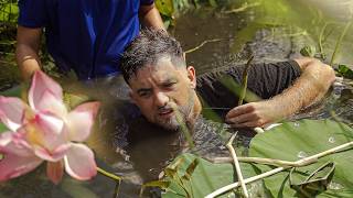 Can You Eat A Lotus? How To Eat Lotus