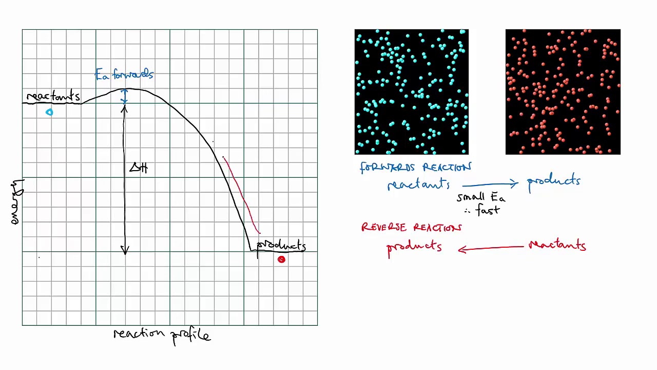 Reversible reactions | Equilibrium | meriSTEM