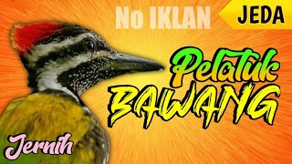 MASTERAN PELATUK BAWANG cocok buat CENDET/PENTET (JERNIH BERJEDA 1 menit) || DURASI 1 JAM