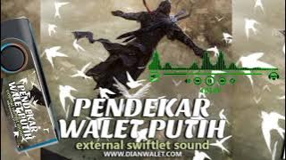 sp pendekar walet putih by Dian walet