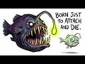 Why It Sucks To Be Born As an Anglerfish