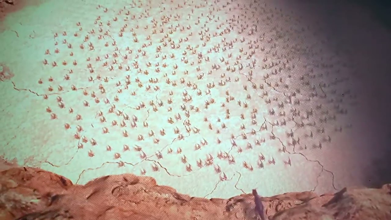 # baby dinosaur 🦖