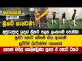 විකට් කනුව තරම්වත් උස නැති පොඩ්ඩෙක් තනි ඇහැට ඇඬෙන්න ගහන ක්‍රිකට් ගැහිල්ල - LPL - Binon Lihansa