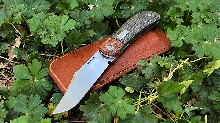 Pea Custom Lannys Clip First Impressions!