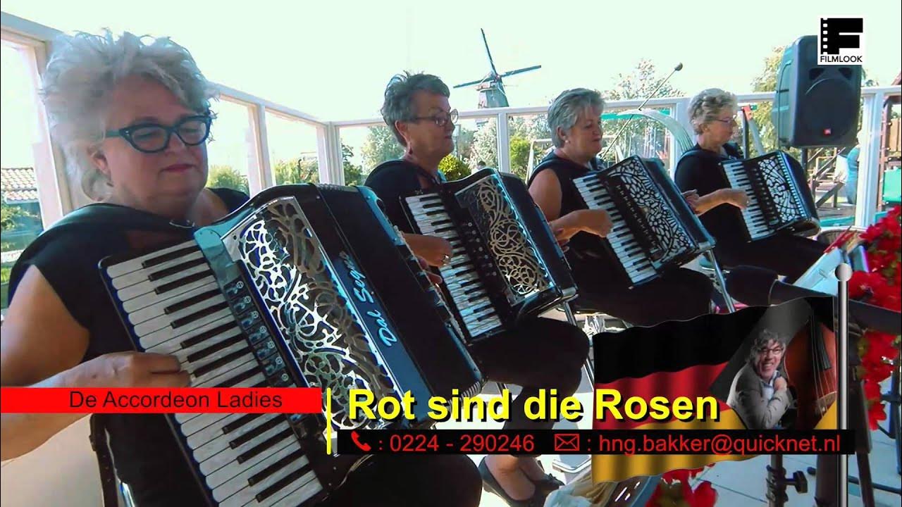 Rot sind. Rot sind