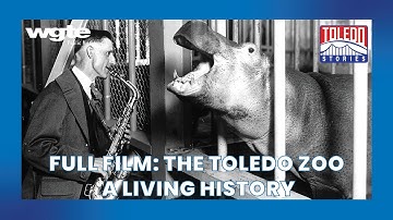 From Small Amusement Park to World-Class Zoo | Toledo Stories: The Toledo Zoo | Full Film