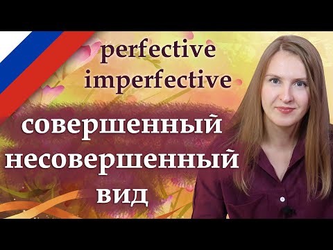 Несовершенный и совершенный вид, Russian imperfective and perfective verbs