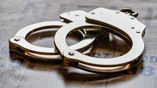 2 arrested, accused of firing at homeowner in Cherokee County, deputies say