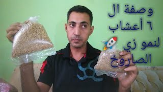 الخلطة الجبارة لتسمين الدواجن 🤩 دورة فراخ بالأعشاب الطبيعية فقط 😍 أوزان خرافية 🤯