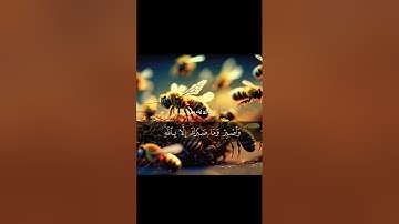 من سورة النحل إياد مهره