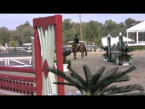 Leah Harmon's HITS USEF Medal Week 1