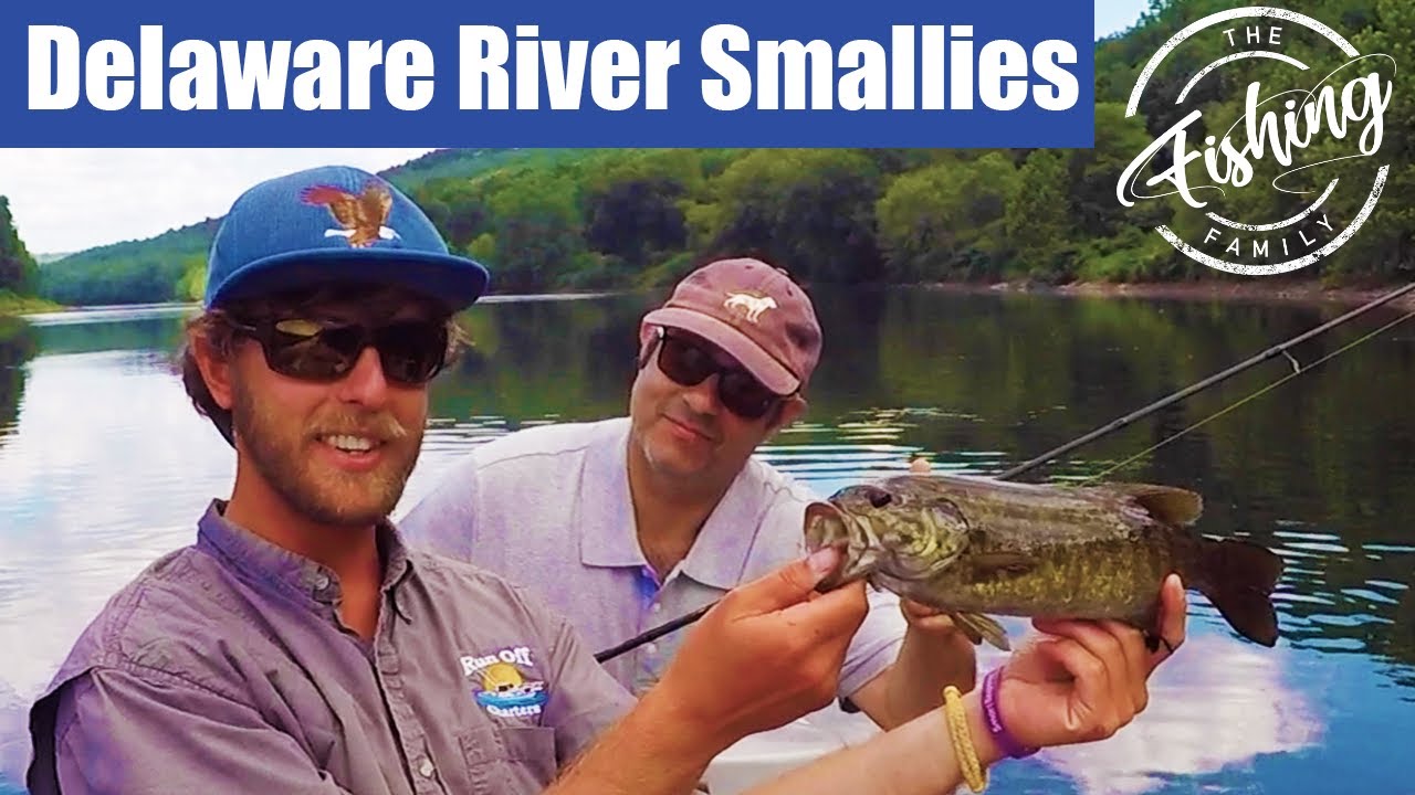 We CAUGHT 50 SMALLIES in 4 hours! Delaware River Smallmouth Bass