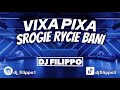 Vixa pixa strogie rycie bani drop po dropie dj filippo 2024 remix