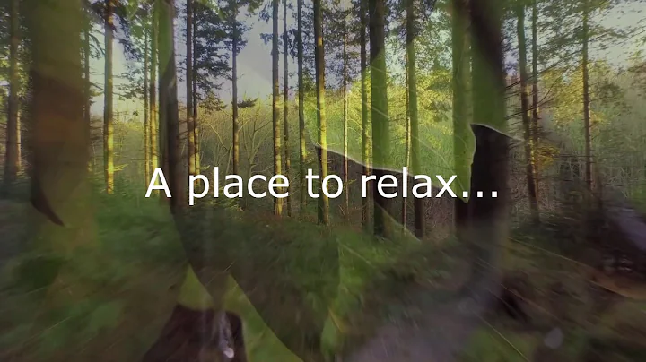The most beautiful relaxing music - Frederick & Fi...