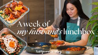 a week of husband’s lunchbox ep. 5 🍱 *cozy home-cooked recipes*