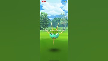 Pokémon Go:  Carvanha Incense Day!  Shiny Carvanha!