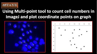 Using Multi Point tool to count cell numbers in ImageJ and plot coordinate points on graph
