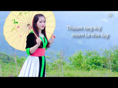 Video: Thaum Twg Koj Tuaj Yeem Npaj Viav Vias Rau Chav Dej?