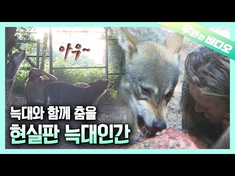 (해외레전드) 늑대랑 먹고~ 자고~ 놀고~ 영국 늑대인간🐺┃British <strong>Werewolf</strong> Who Sleeps, Eats, and Plays with Wolves🐺