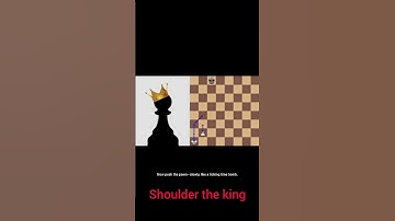 The endgame that wins tournaments( king and pawn secrets)