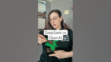Did DeepSeek steal from OpenAI? (lol)