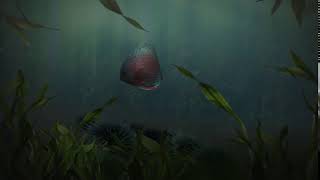 Video Background Stock Footage Free ( Predatory fish under water. Piranha under water. Animation ) screenshot 1